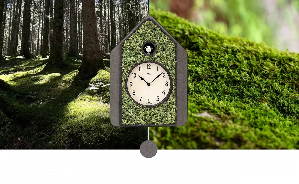 Kuckucksuhr im Mooswald mit Sonnenlicht und grüner Vegetation