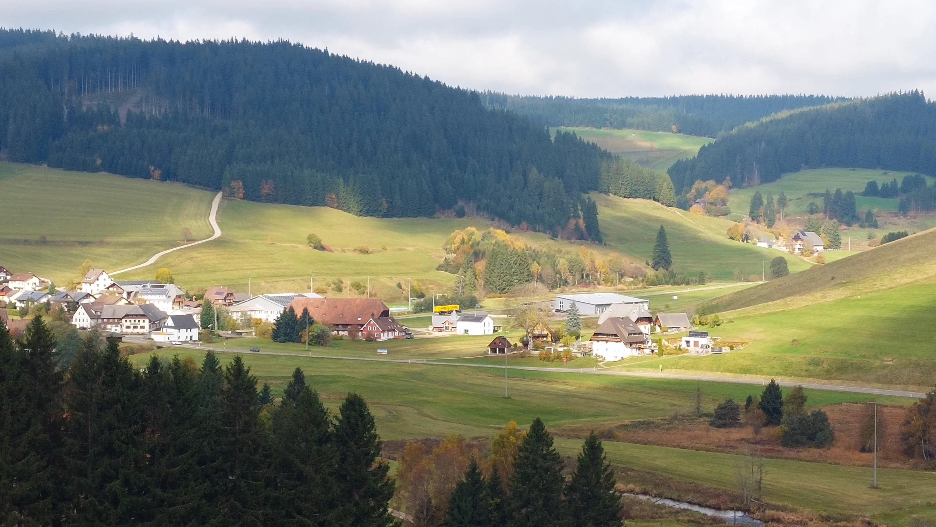 Malerges Dorf in bewaldeten Schwarzwald Bergen in Deutschland mit Wiesen und Häusern