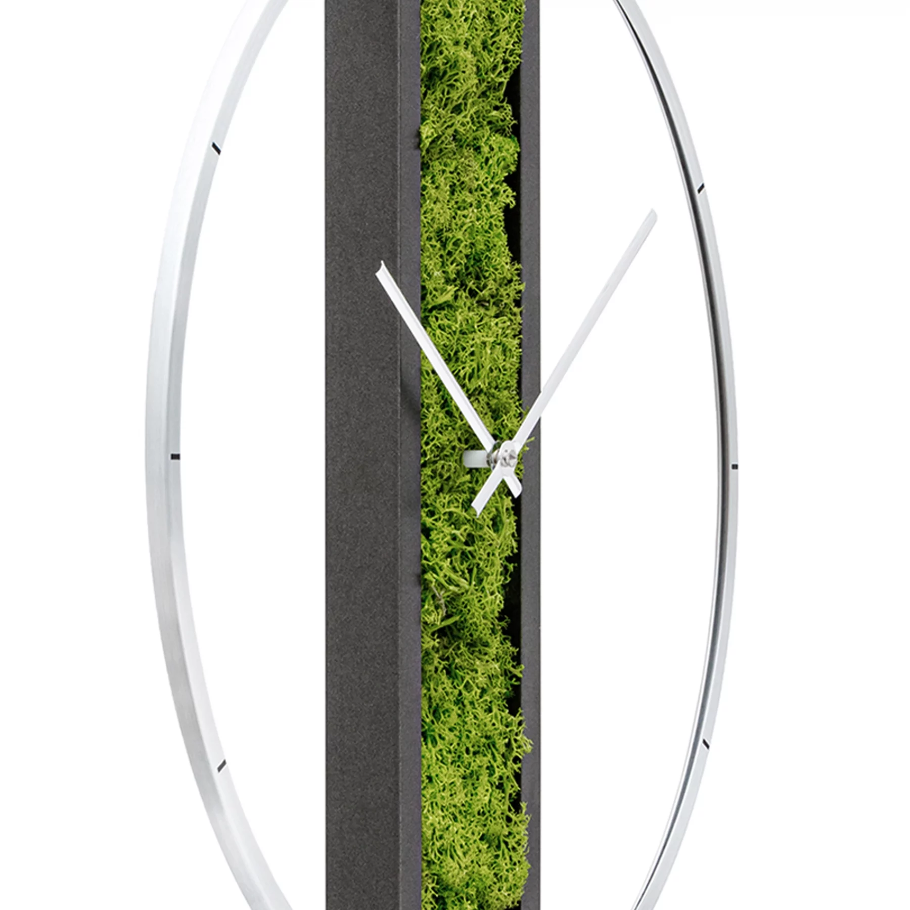 Moderne Wanduhr mit Moos und schwarzem Rahmen